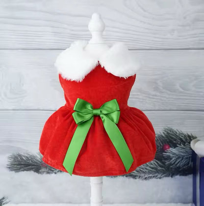 Festive Outfit for Small Pets