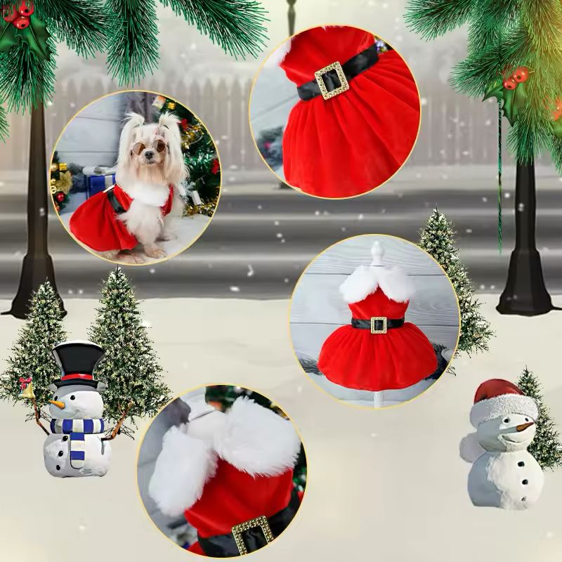 Festive Outfit for Small Pets