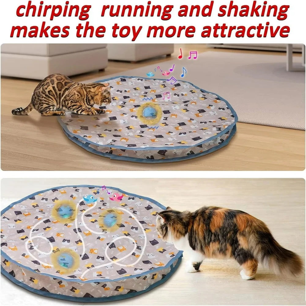 RollPurr Interactive Cat Ball Set