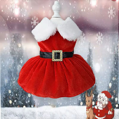 Festive Outfit for Small Pets